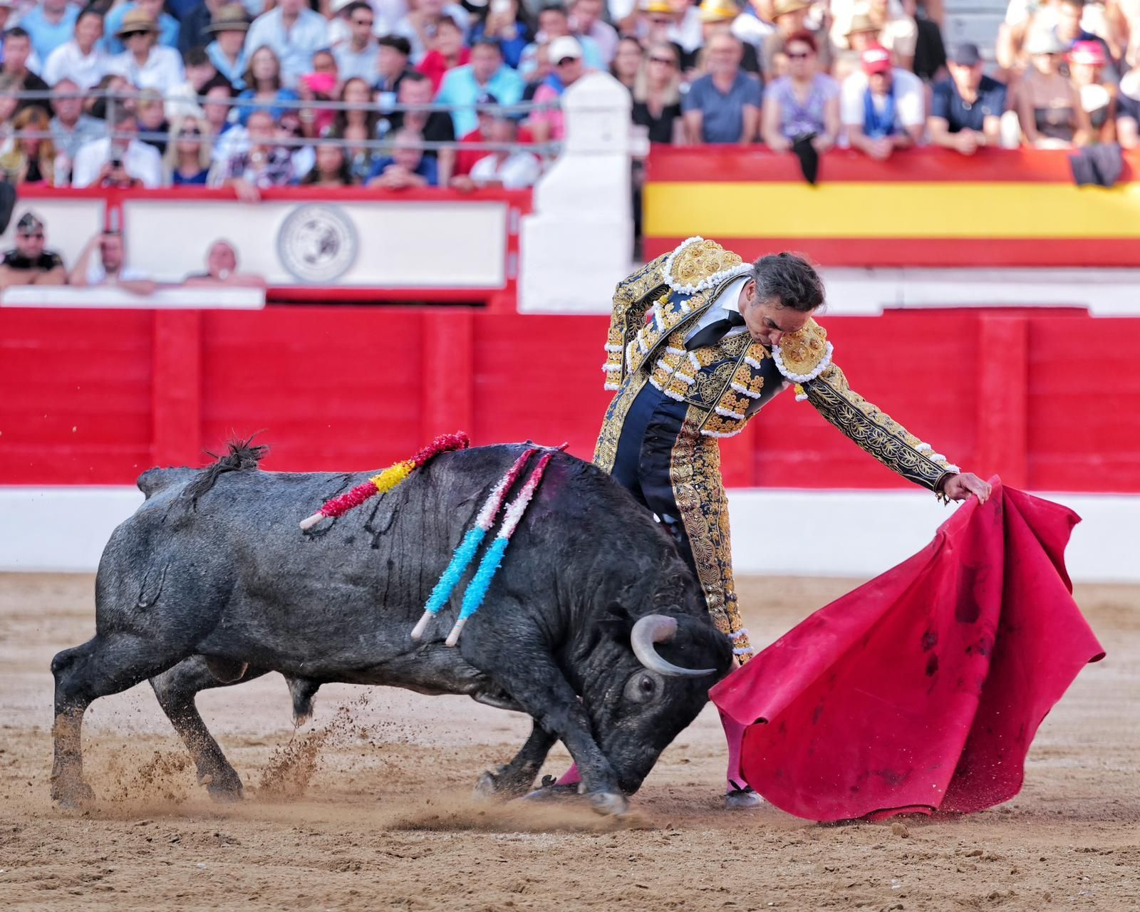 Extraordinario natural de El Cid a 'Vengativo', el gran toro de Victorino Martín.