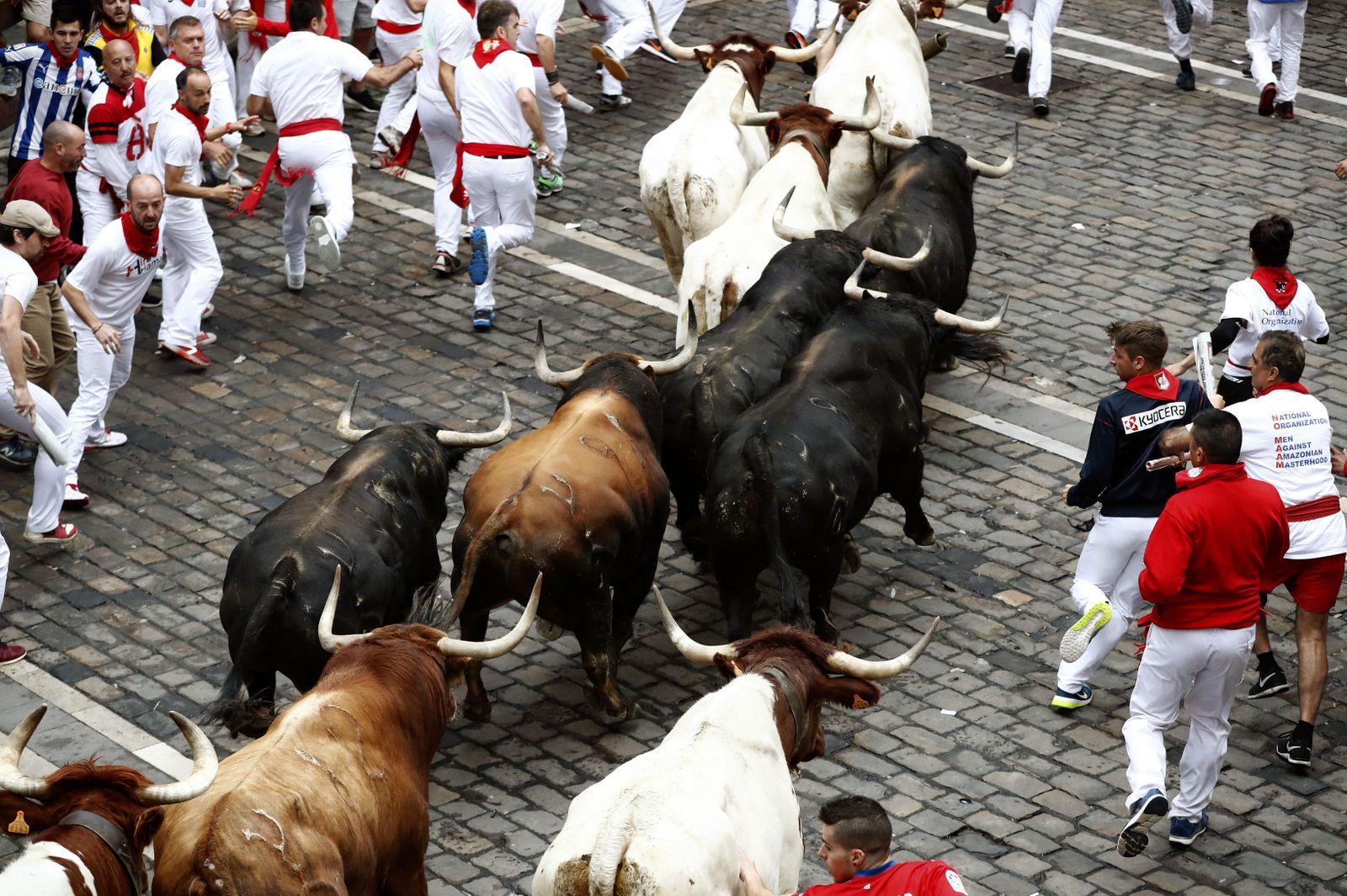 El encierro de Fuente Ymbro, en imágenes
