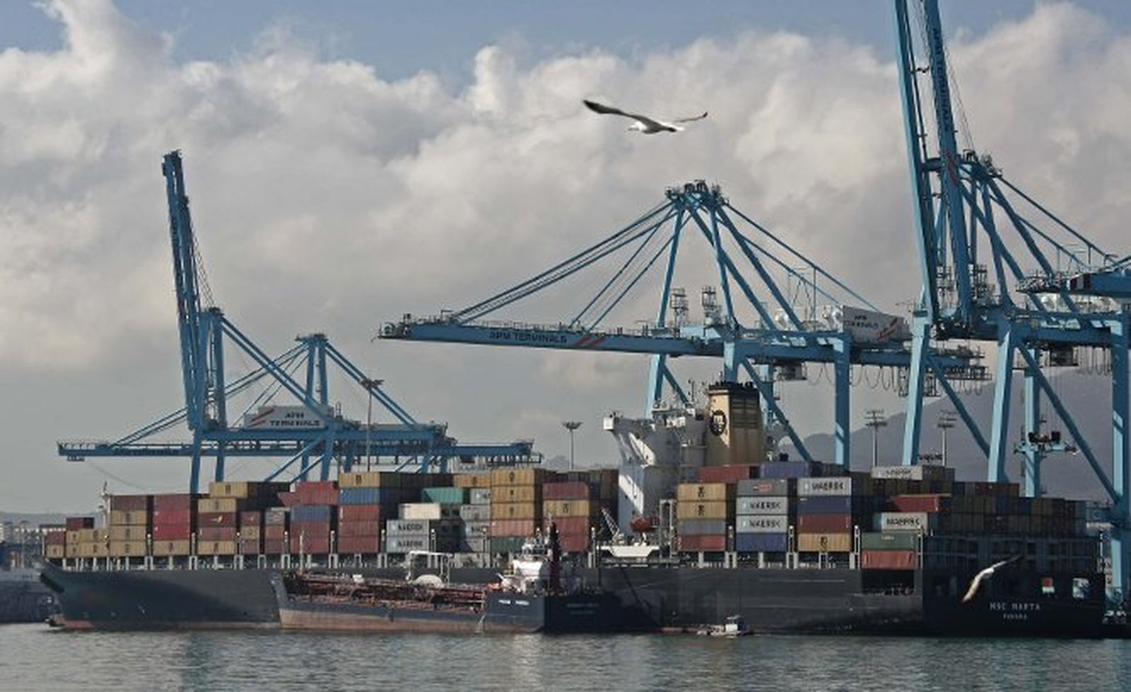 Vista del puerto de Algeciras.