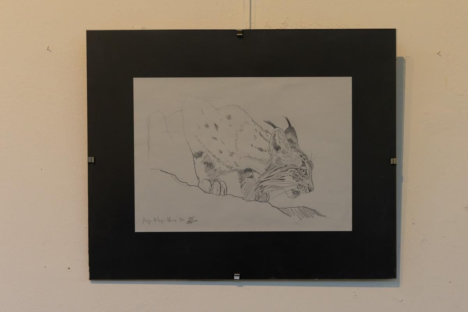 Exposición Los pinceles del lince ibérico, en imágenes