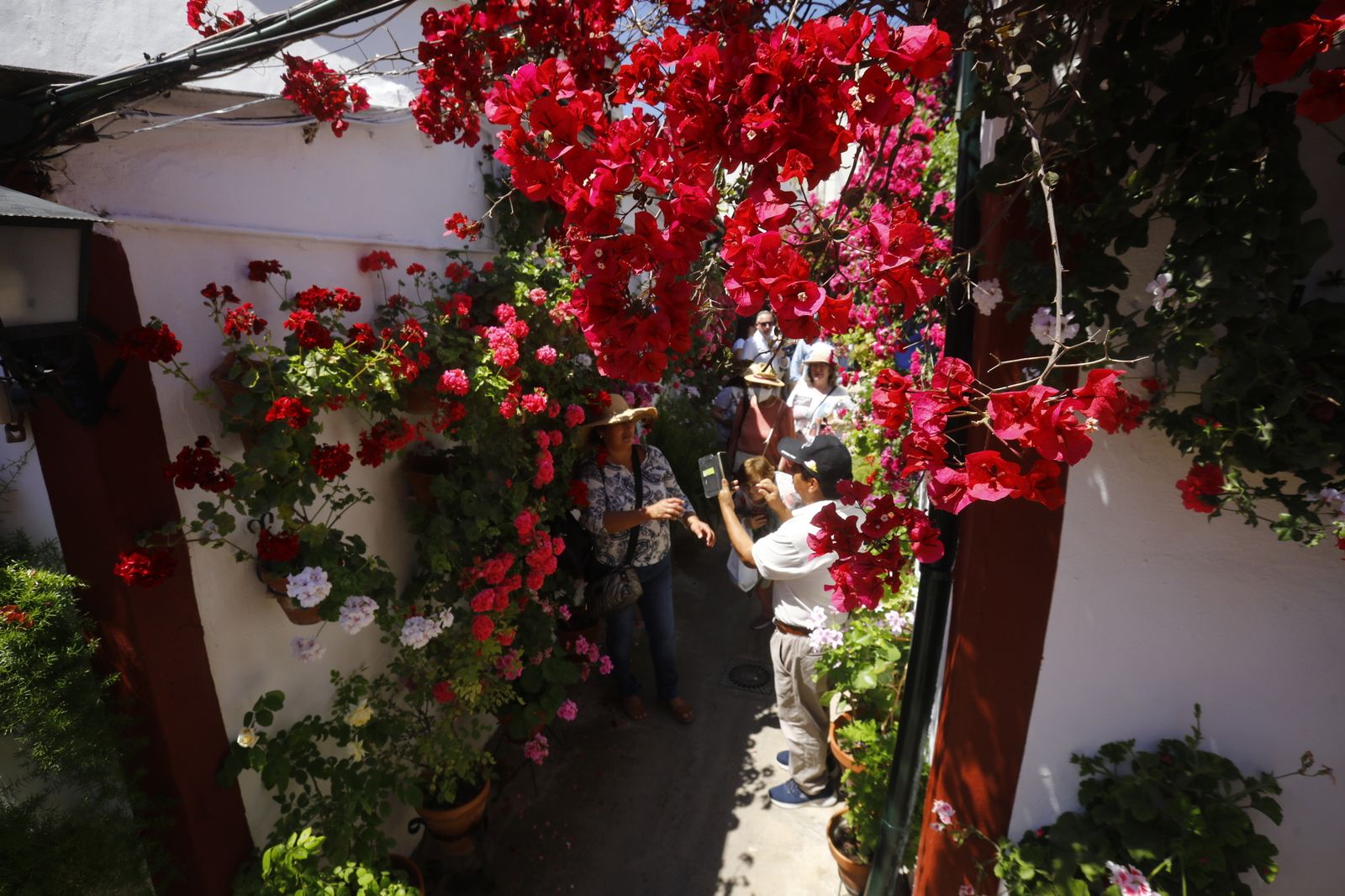 El primer sábado de Patios de Córdoba, en imágenes