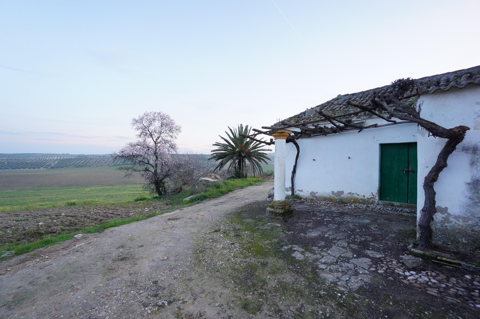 Un recorrido por la Córdoba-3203, la carretera de los terremotos