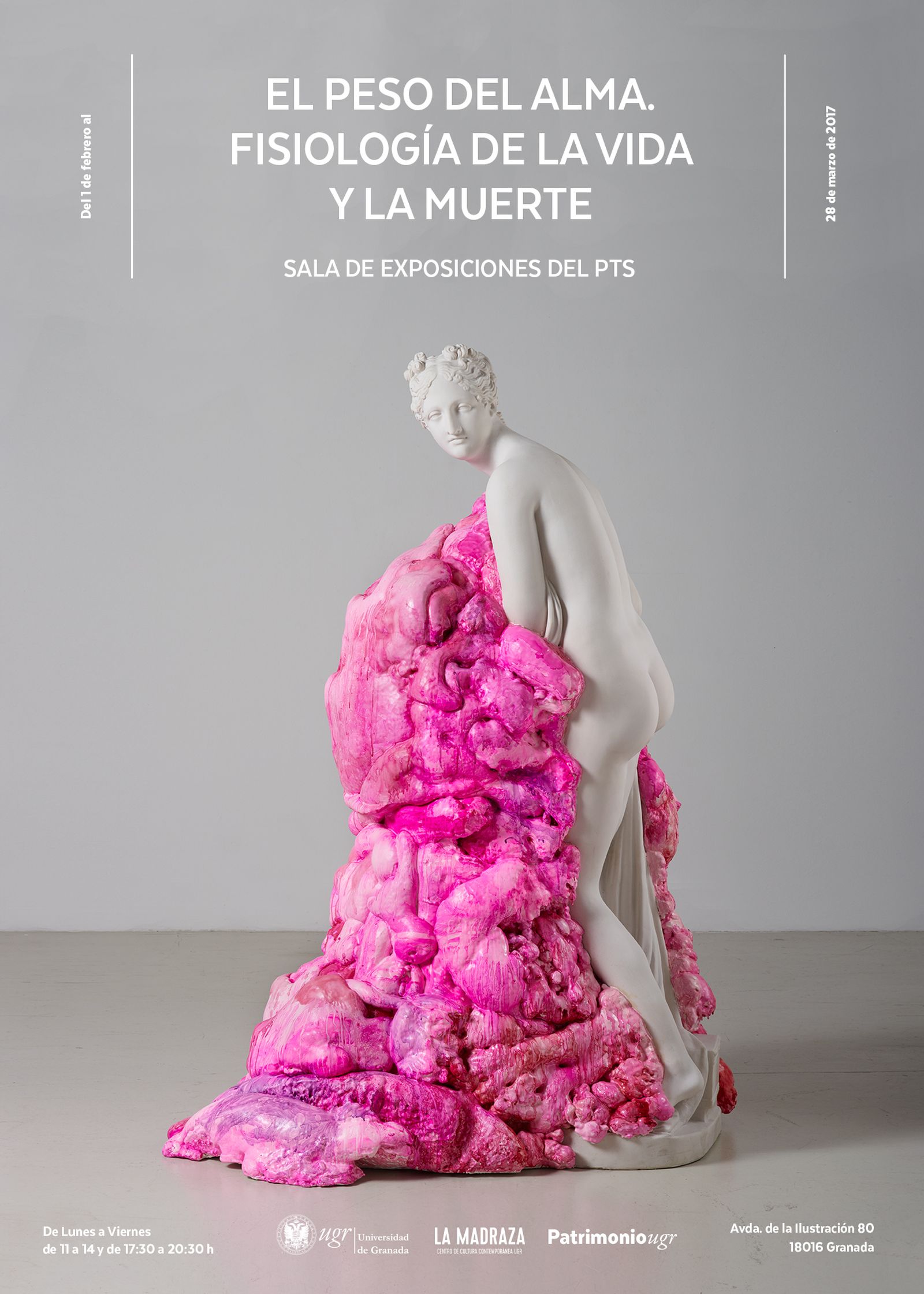 Diálogos entre formas médicas