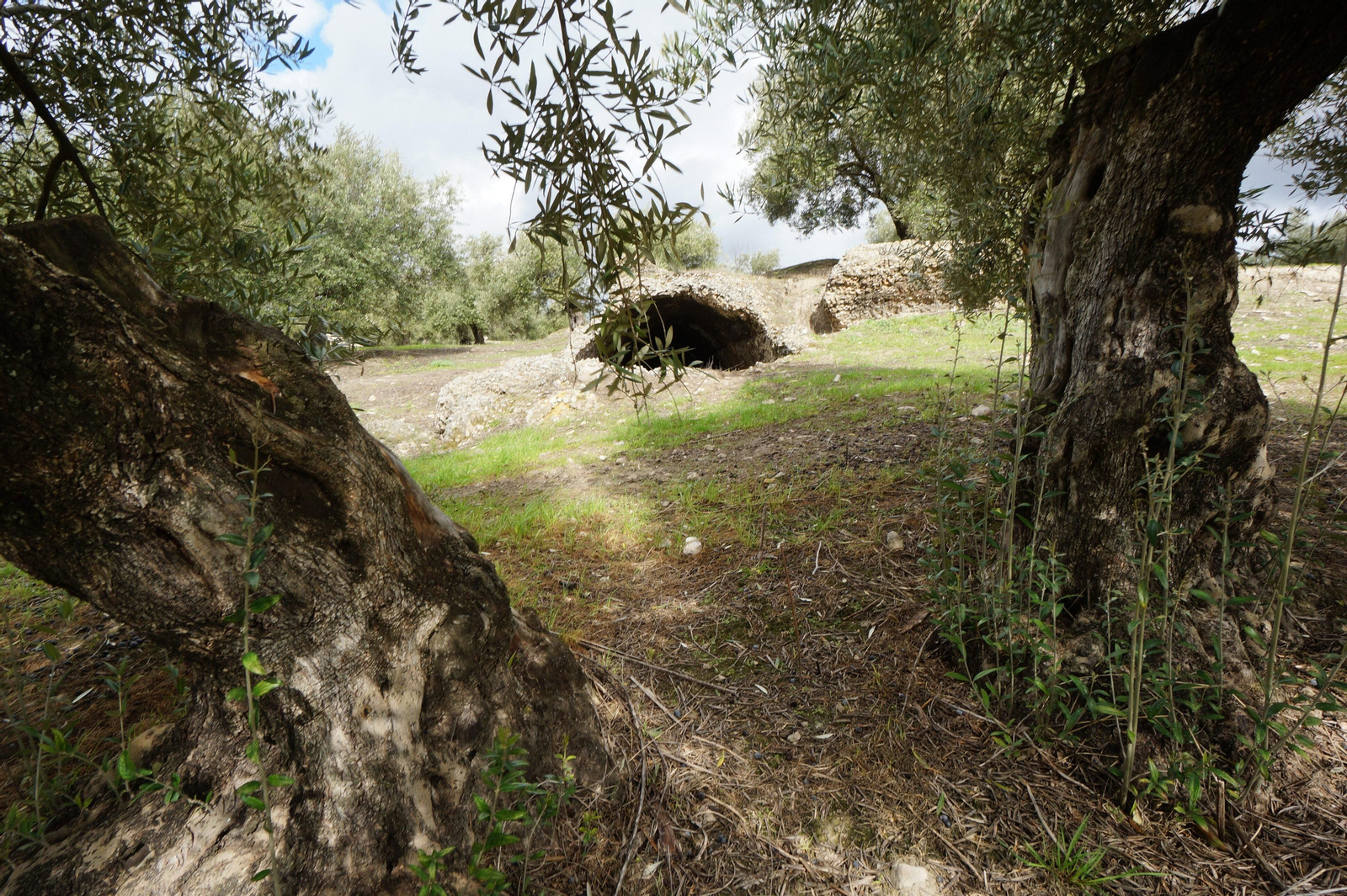 Los silos romanos del Carchena en Castro del Río, en fotografías