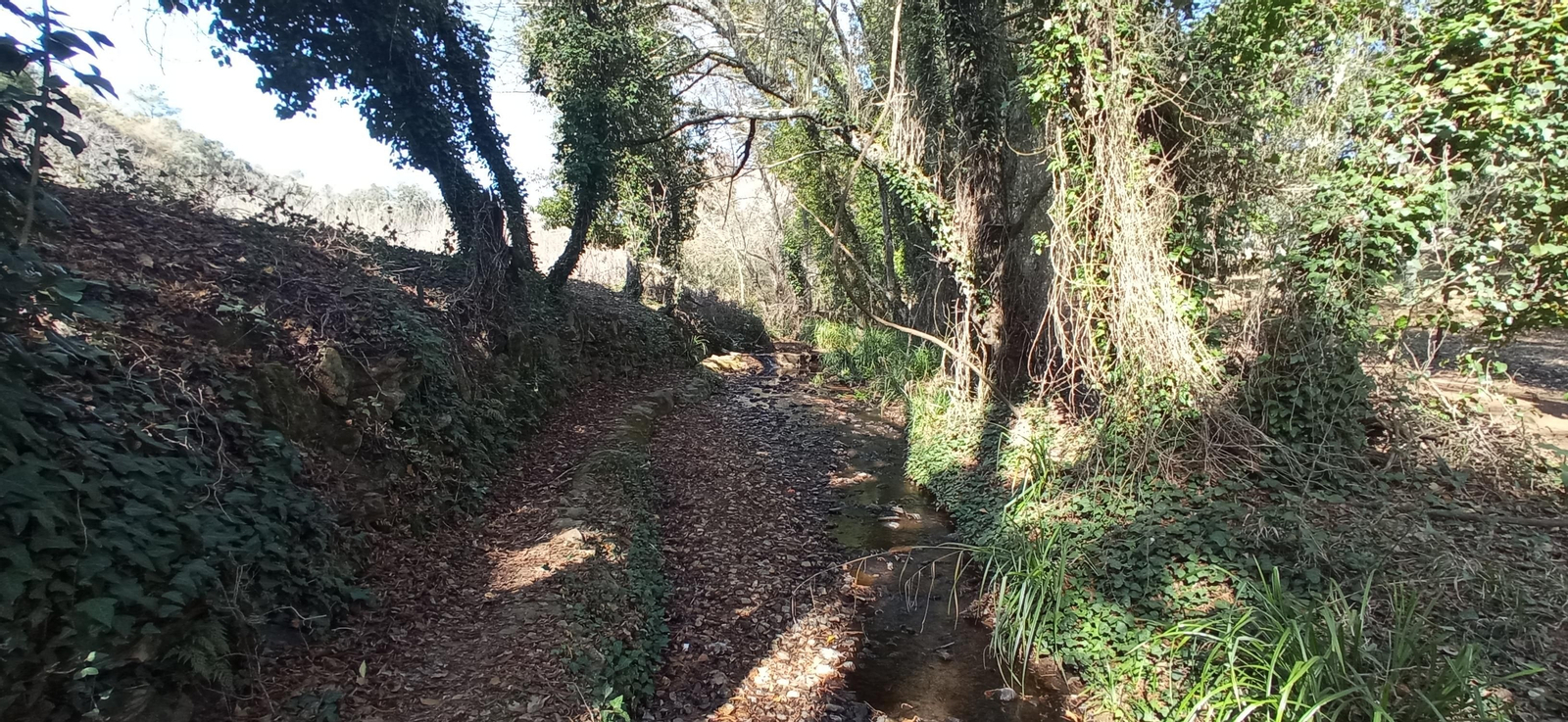 Las imágenes de la ruta de la cascada de Jollarancos y bosque de las letras