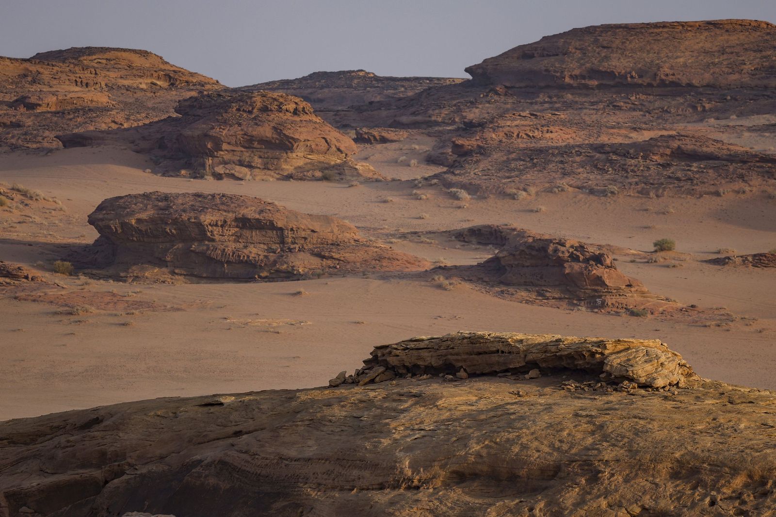 Las mejores fotos del Rally Dakar | Cuarta etapa