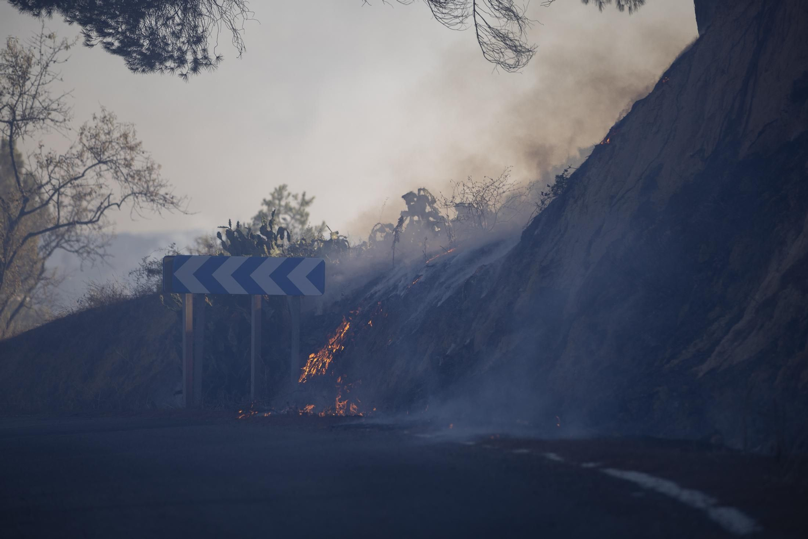 Imágenes del incendio de Bonares
