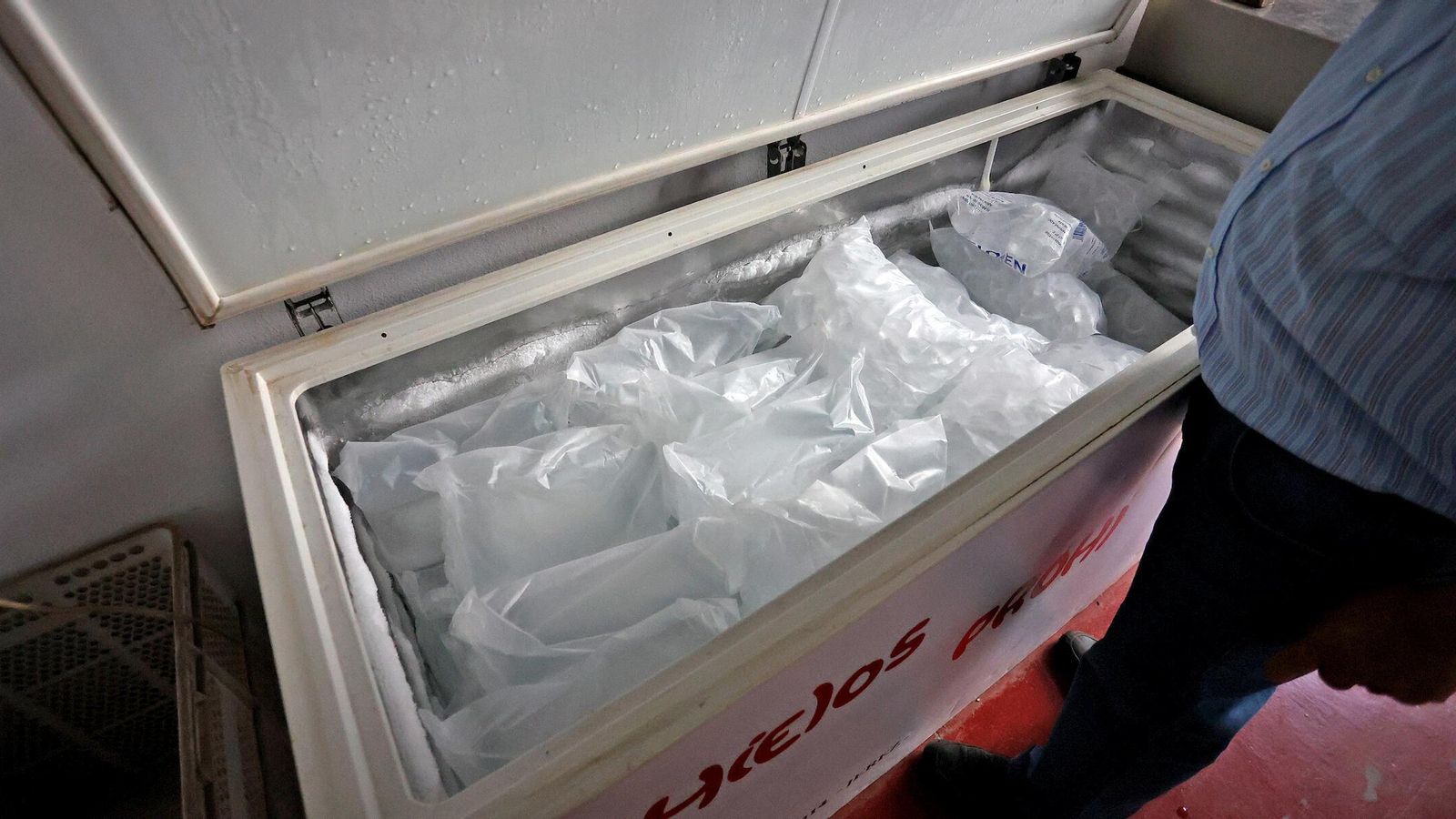 Un congelador con sacas de cubitos de hielo en la fábrica de Prohi.