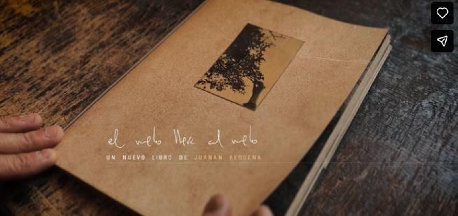 'El vuelo lleva al vuelo' de Juanan Requena.