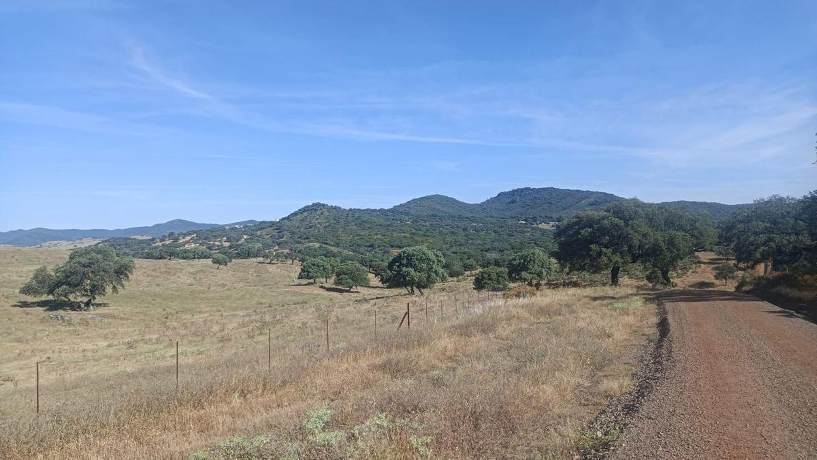 Al fondo, sobre la cresta del cerro, se puede distinguir Jabuguillo.