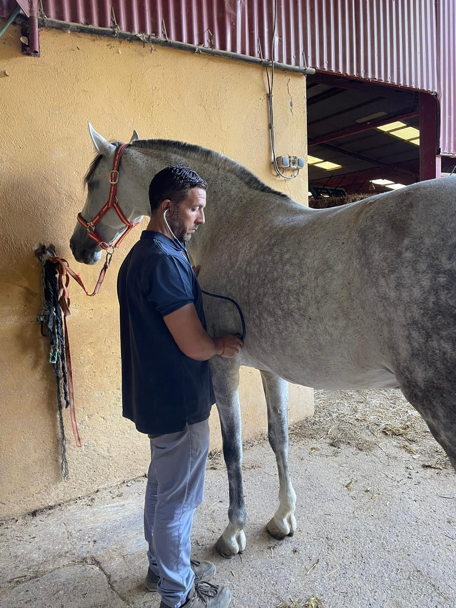 Hospital veterinario. GDR Sierra de Aracena y Picos de Aroche