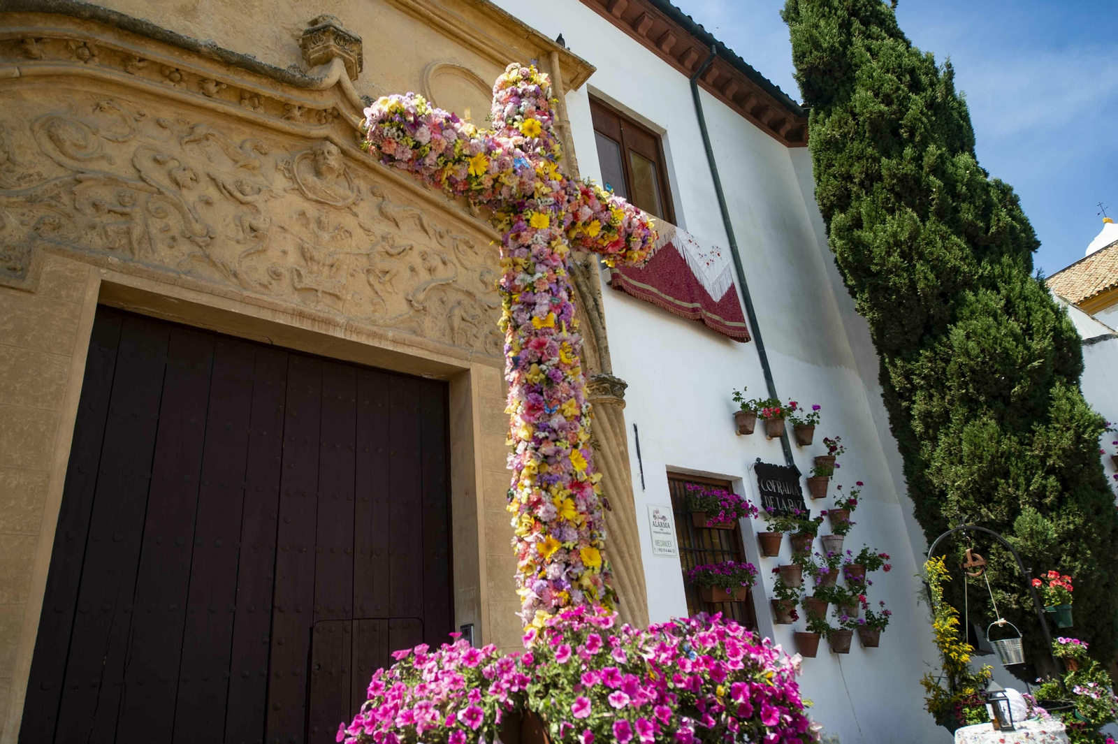 Las Cruces de Mayo de Córdoba, en imágenes