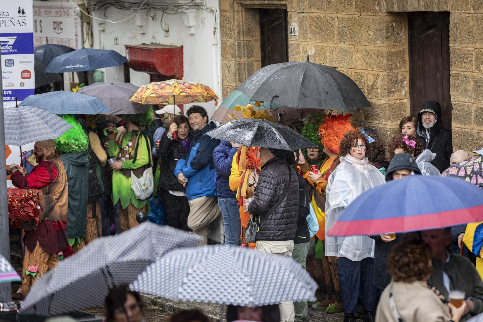 Las imágenes del segundo sábado de Carnaval de Cádiz 2025: Carrusel de coros bajo la lluvia