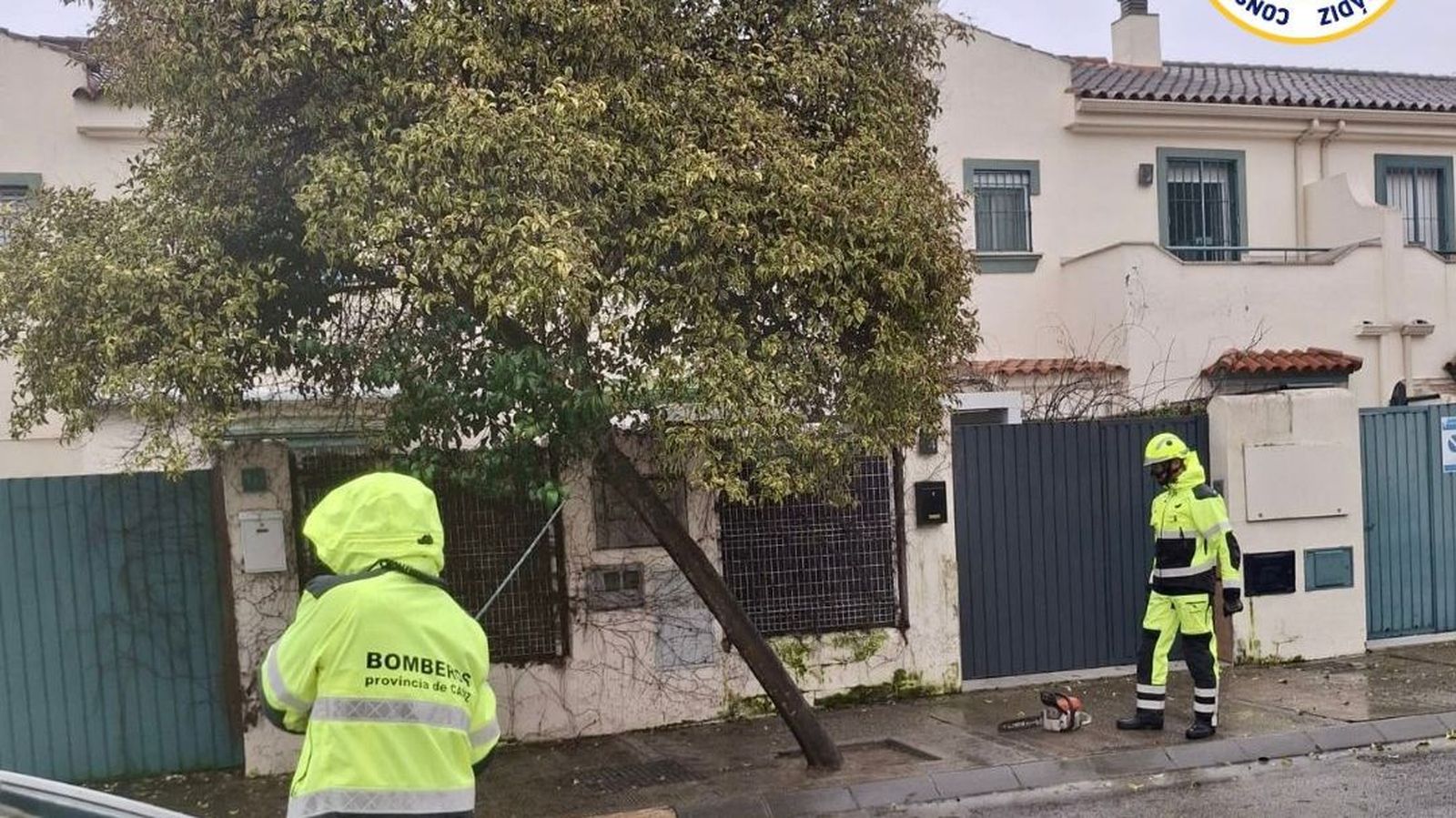 Bomberos del parque de Jerez, durante la retirada de un árbol.