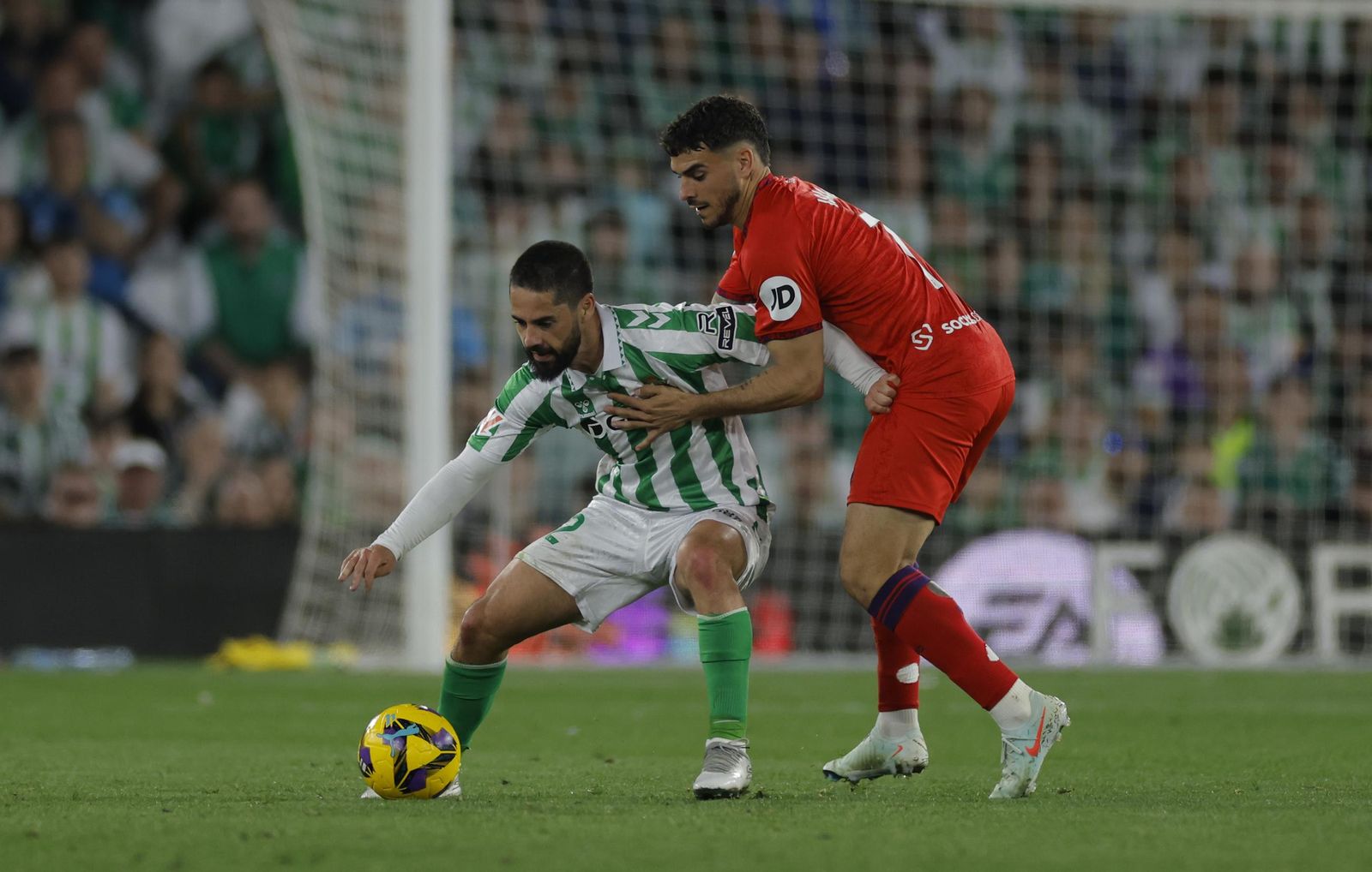 Las fotos del Betis - Sevilla