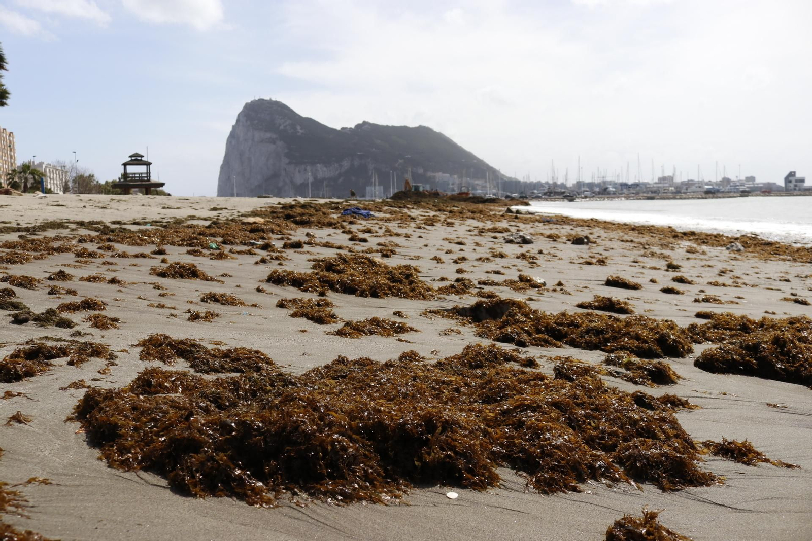 Los efectos del temporal de Levante en La Línea