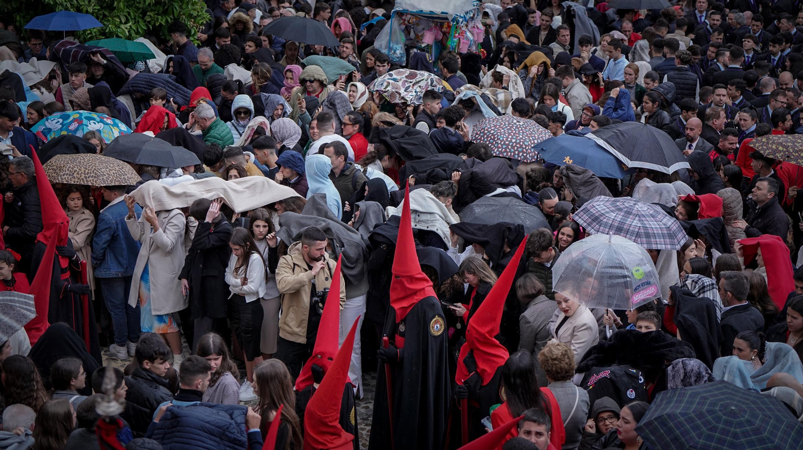 Los Judíos de San Mateo de Jerez en imágenes Los Judíos de San Mateo de Jerez en imágenes