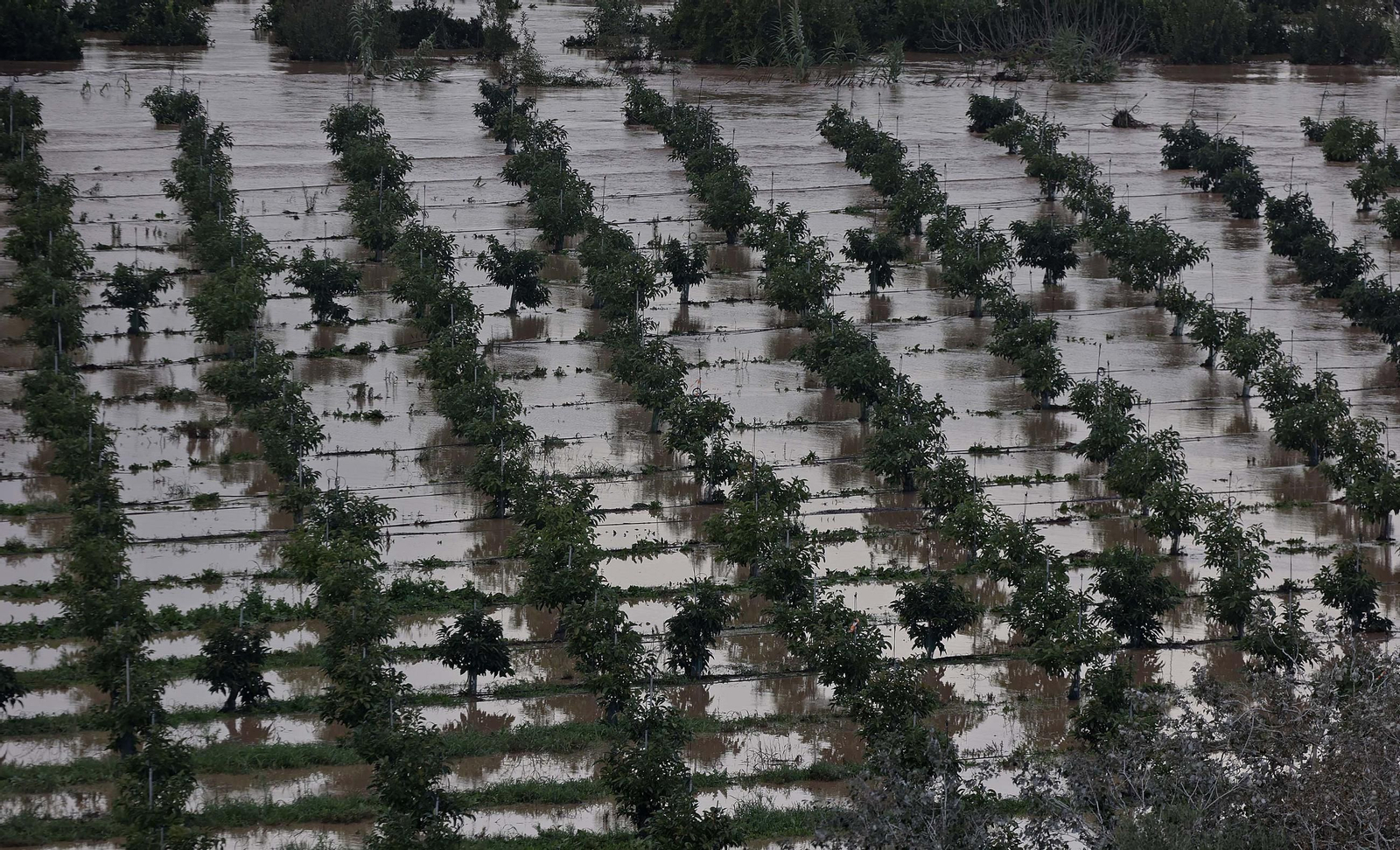 Fotos de la inundaciones en San Pablo de Buceite por la DANA
