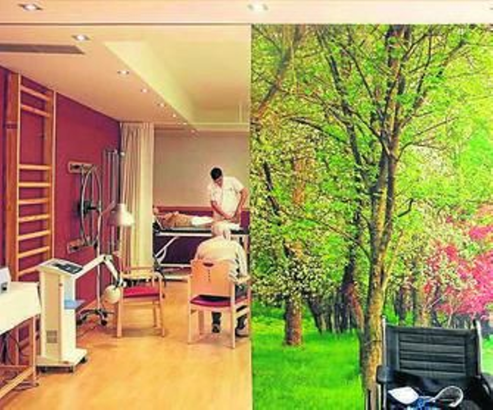 Un hogar de cinco estrellas