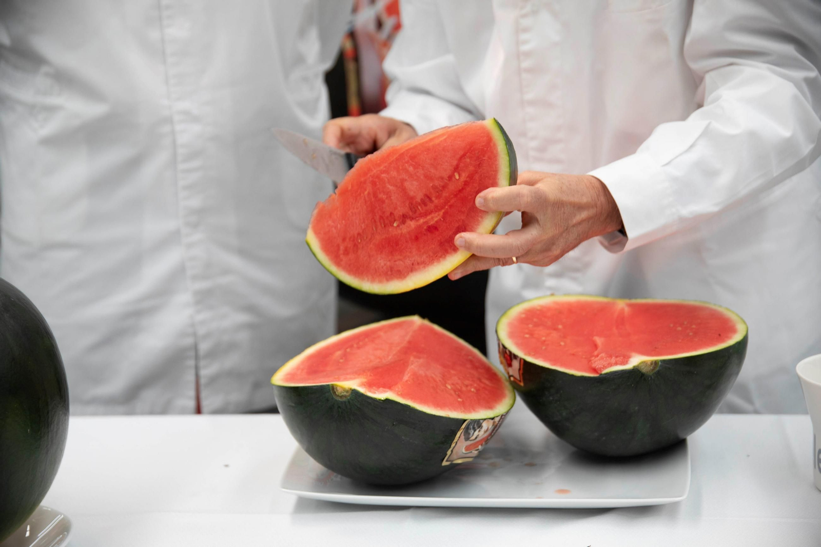 Vea cómo es el trabajo con las fantásticas sandías Premium en Grupo Caparrós