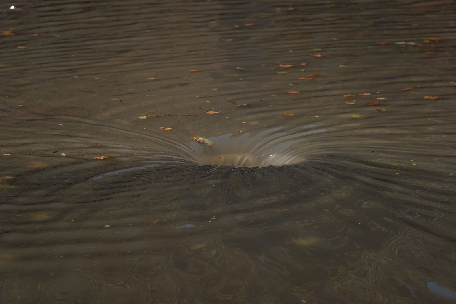 Imágenes de las inundaciones causadas por la lluvia en Isla Cristina
