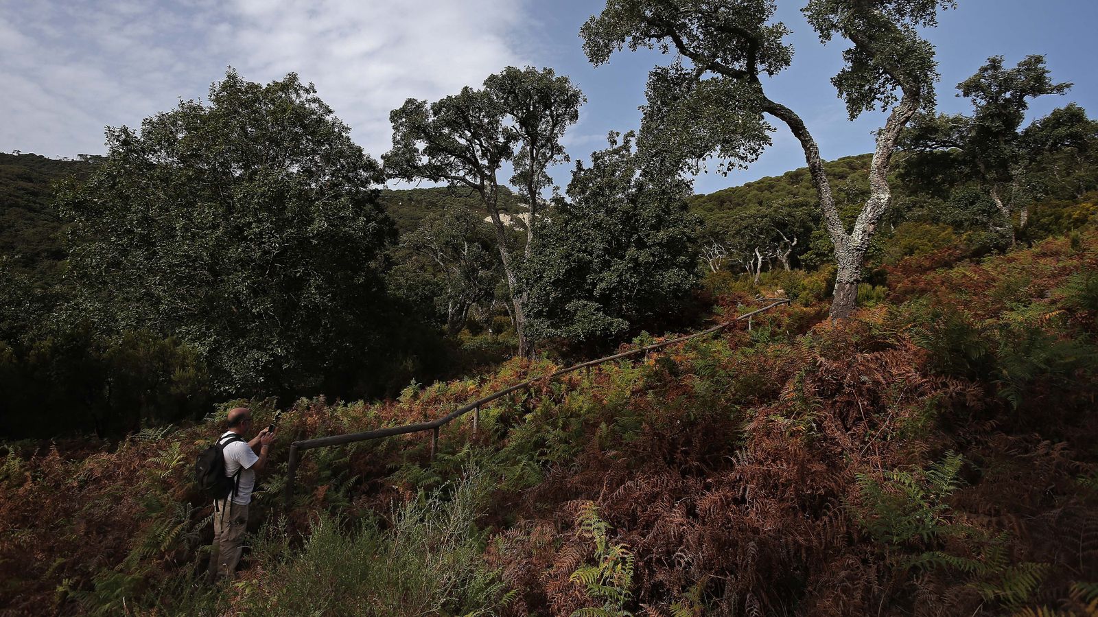 Las mejores fotos de San Carlos del Tiradero