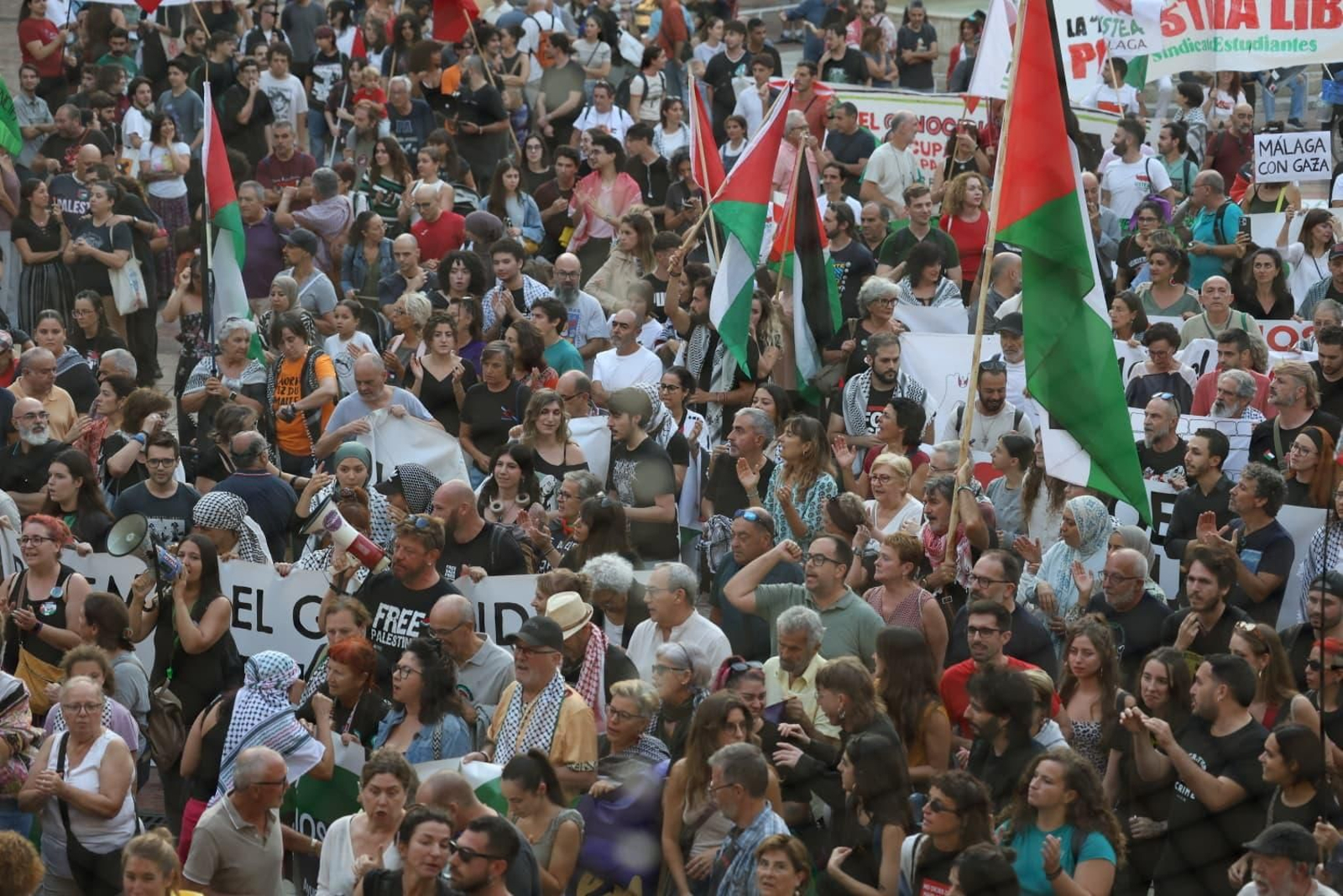La manifestación por Palestina en Málaga, en imágenes