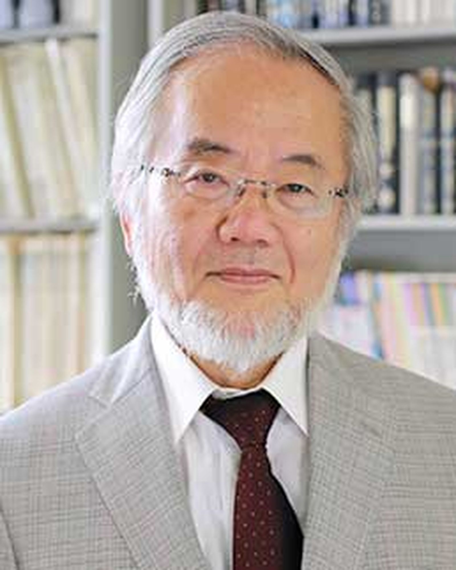 Yoshinori Ohsumi, Nobel de Medicina 2016 por sus descubrimientos sobre la autofagia