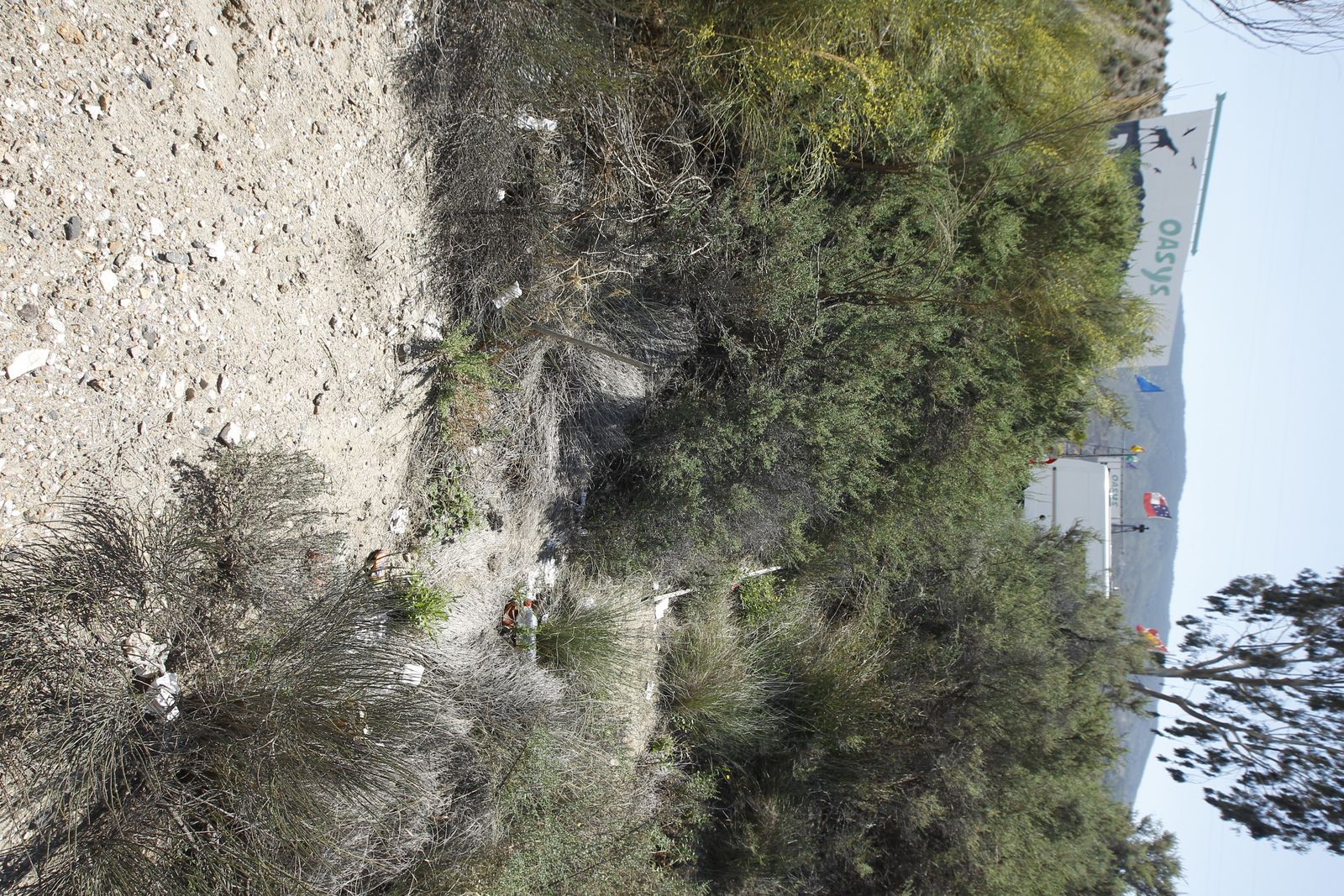 Fotogalería basura en el Desierto de Tabernas