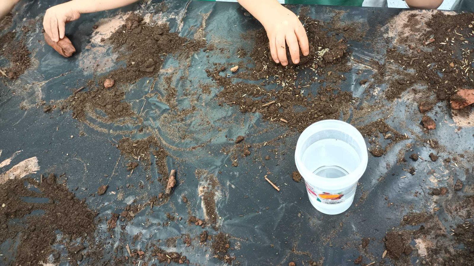 Reforestación en Córdoba del Movimiento Smart Green de LG