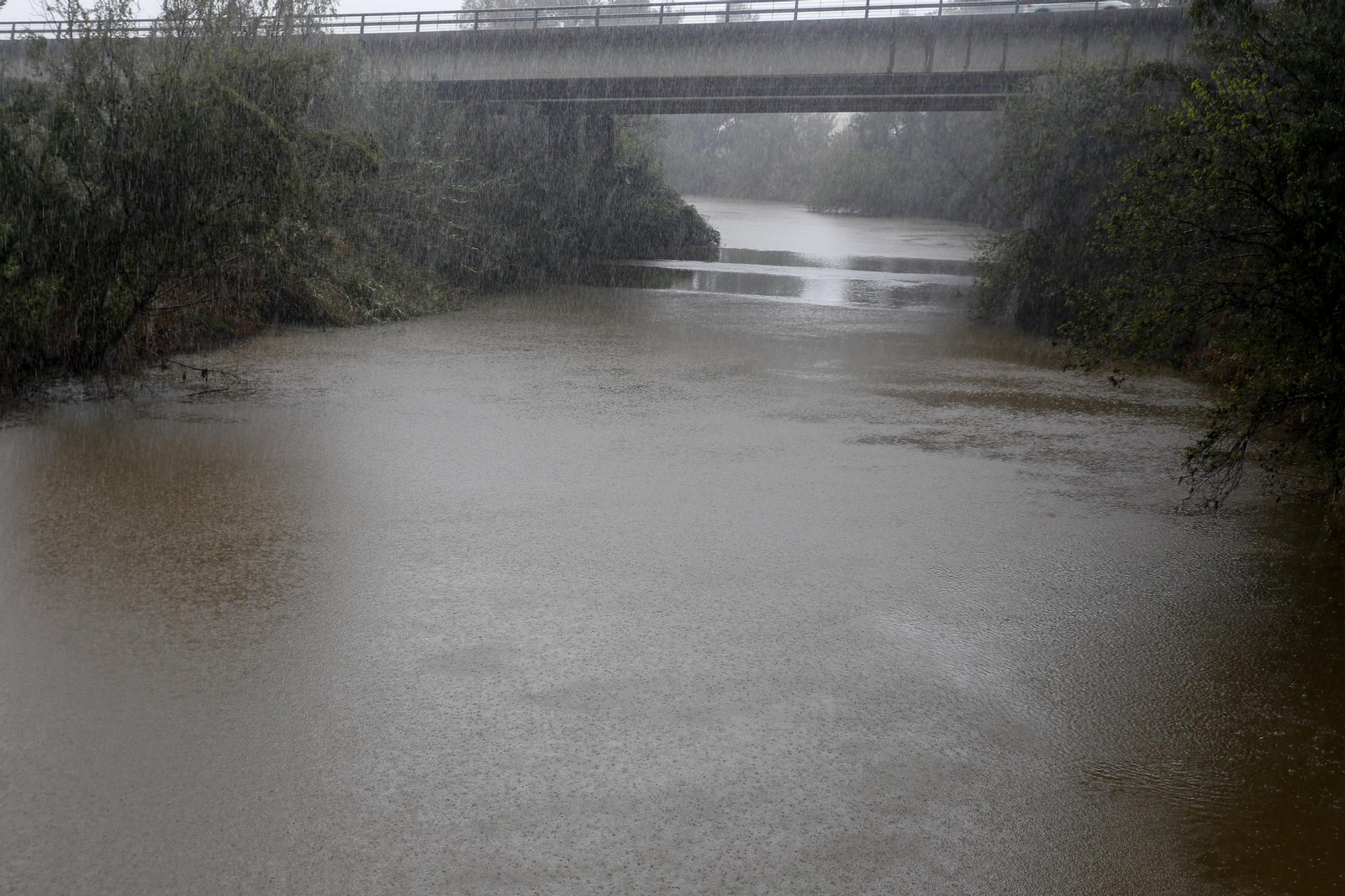 Fotos de los ríos del Campo de Gibraltar tras las últimas lluvias