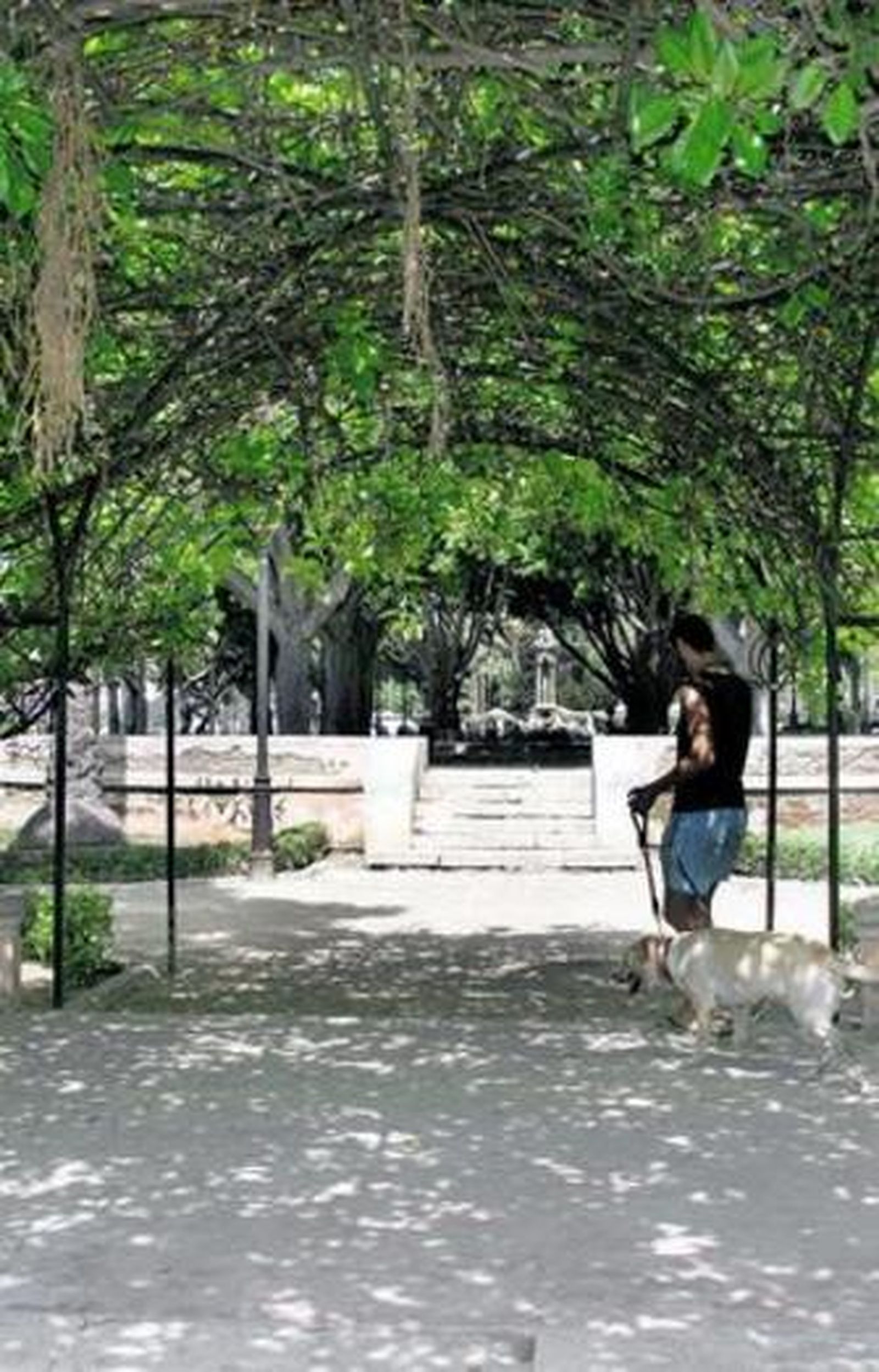 Los arcos, uno de los lugares preferidos del Parque.