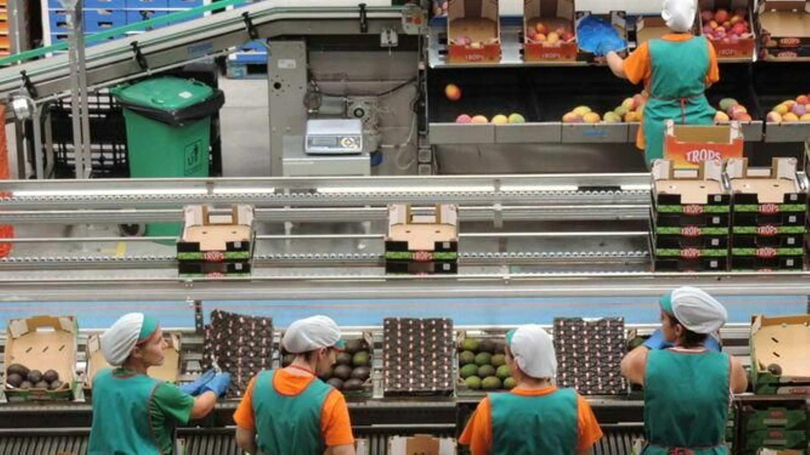 Línea de producción de Trops