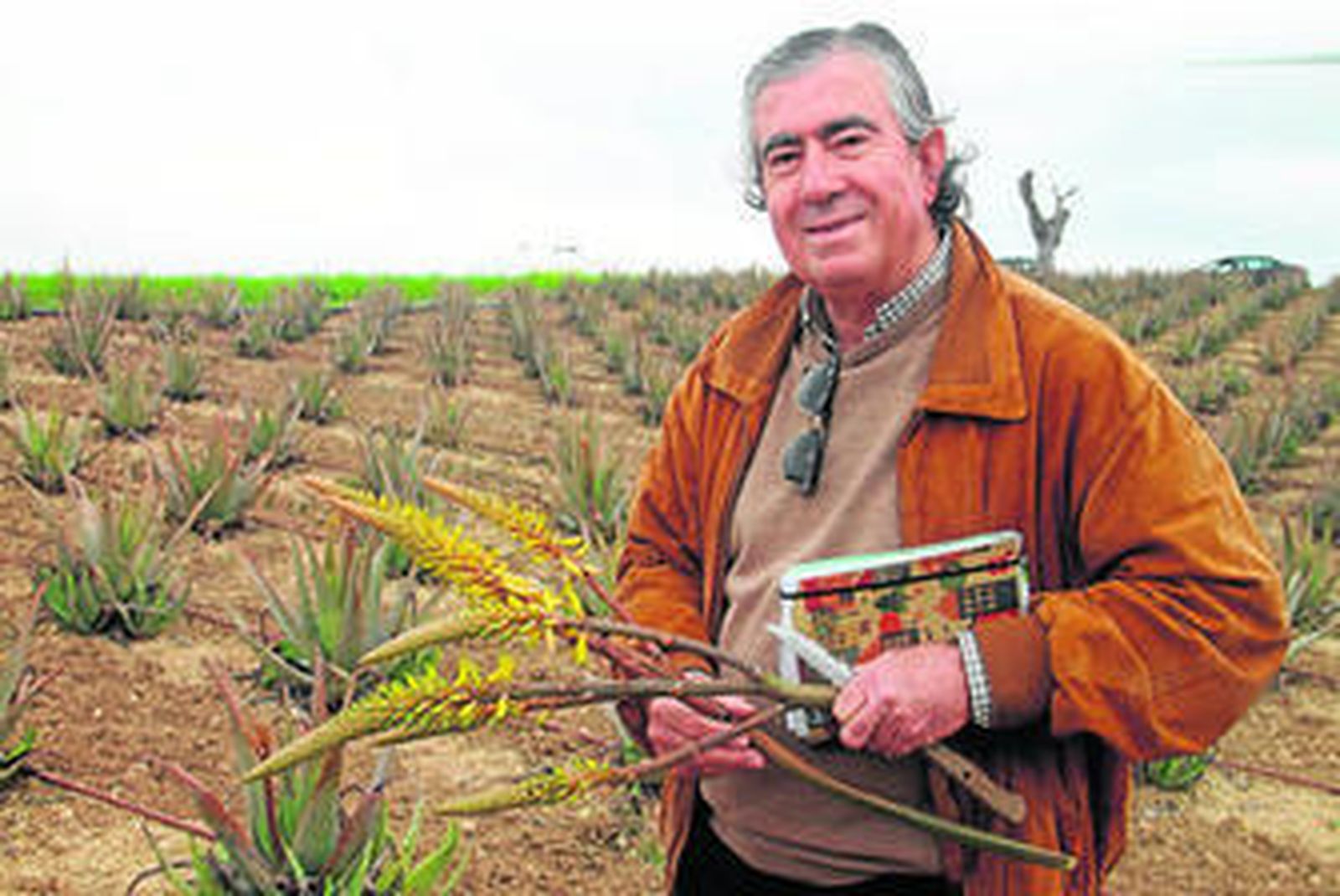Saturnino Iglesias, el pasado martes en su plantación de aloe vera, en la finca Los Granujales.