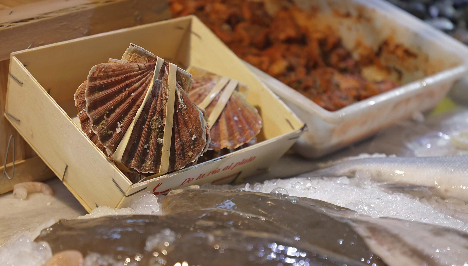 Fotos de las últimas compras en Algeciras para la cena de Nochebuena