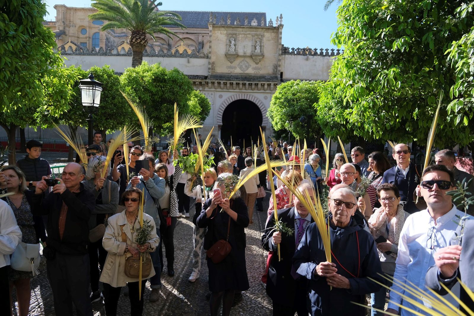 Domingo de Ramos en Córdoba 2023: la misa de la bendición de las palmas en la Catedral, en imágenes