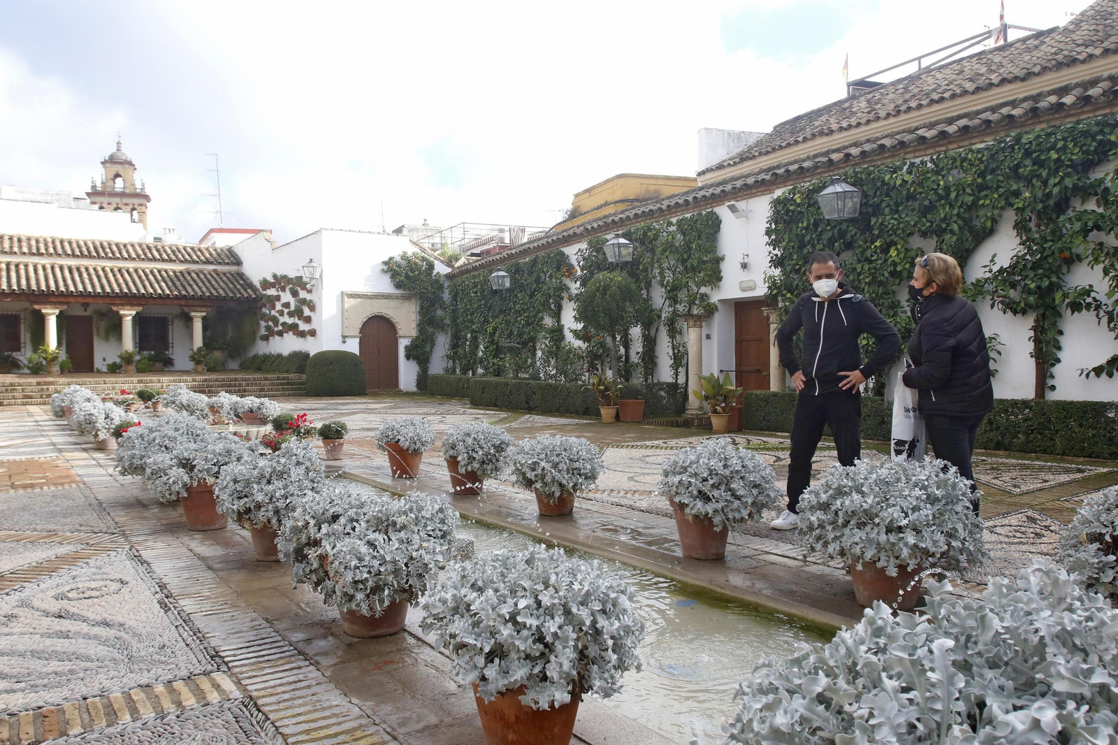 El Palacio de Viana en Navidad, en fotografías