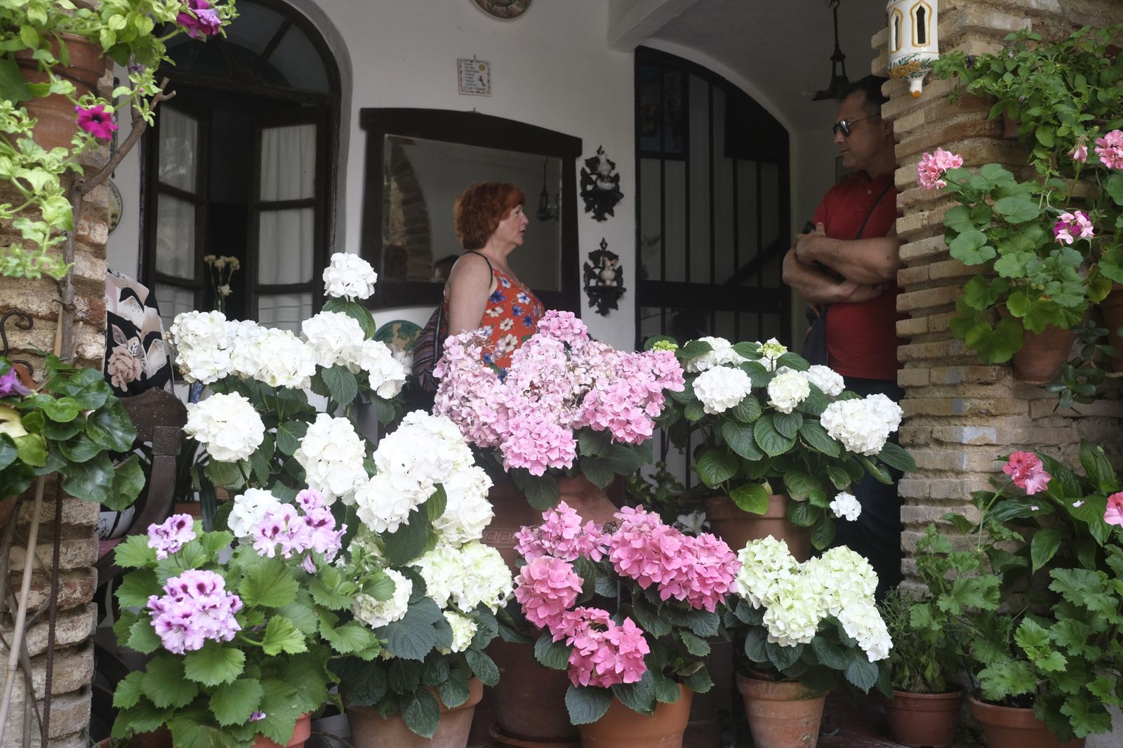 El último día del Festival de los Patios de Córdoba 2022, en imágenes