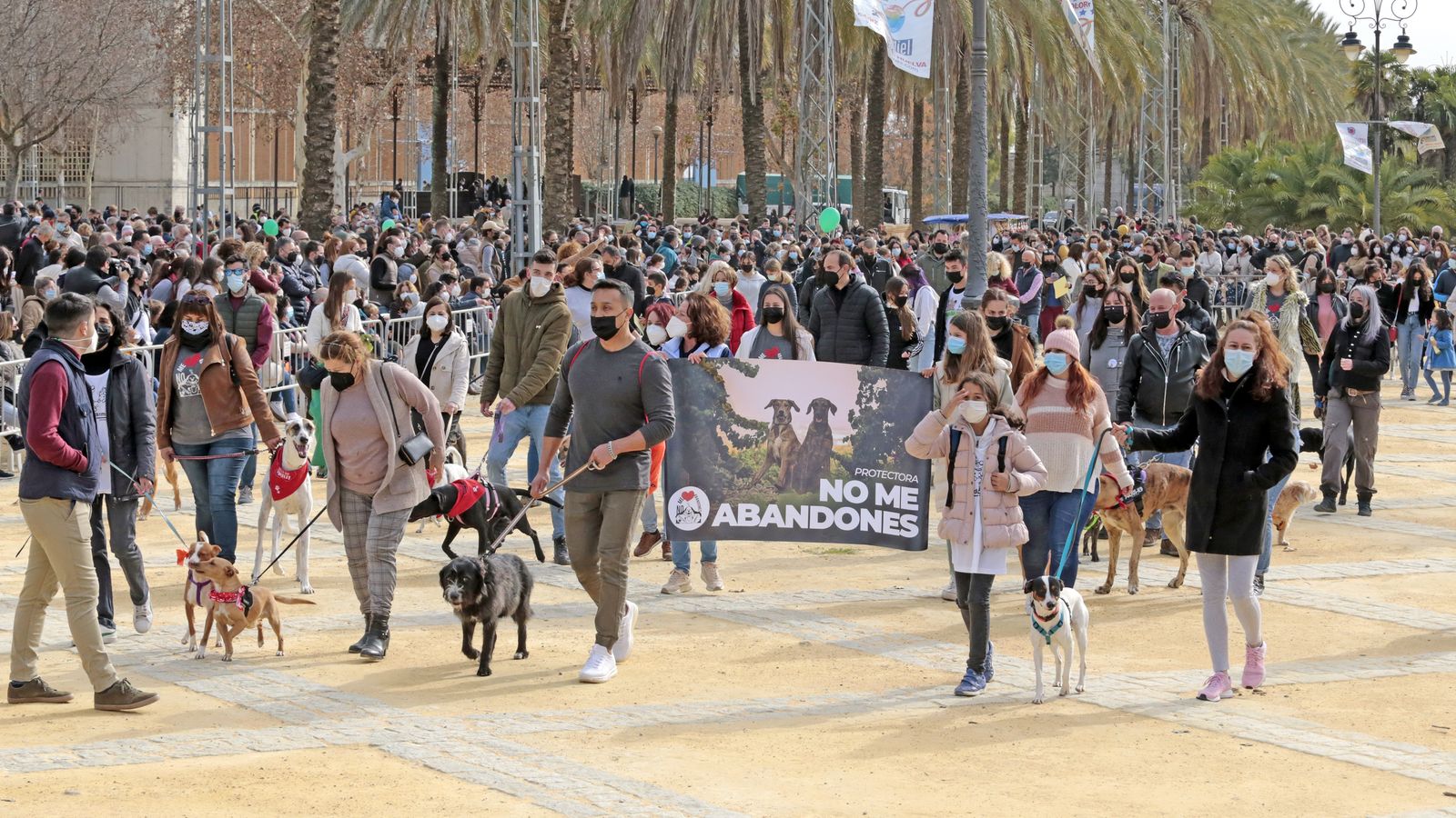 Imágenes de la 'Fiesta de San Antón 2022'