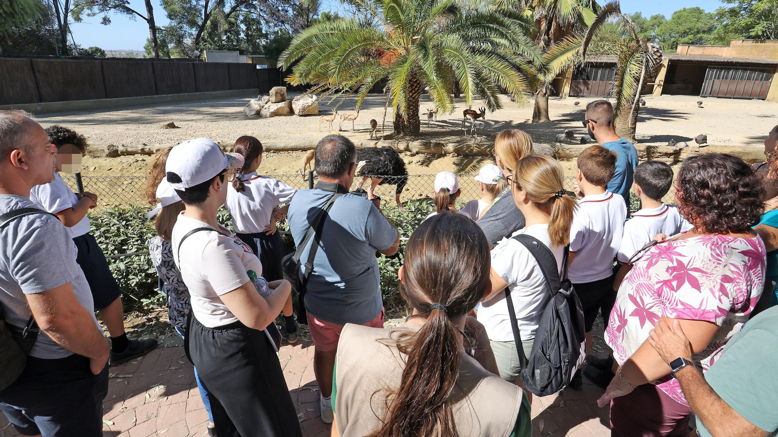 Día de las aves en el Zoo de Jerez