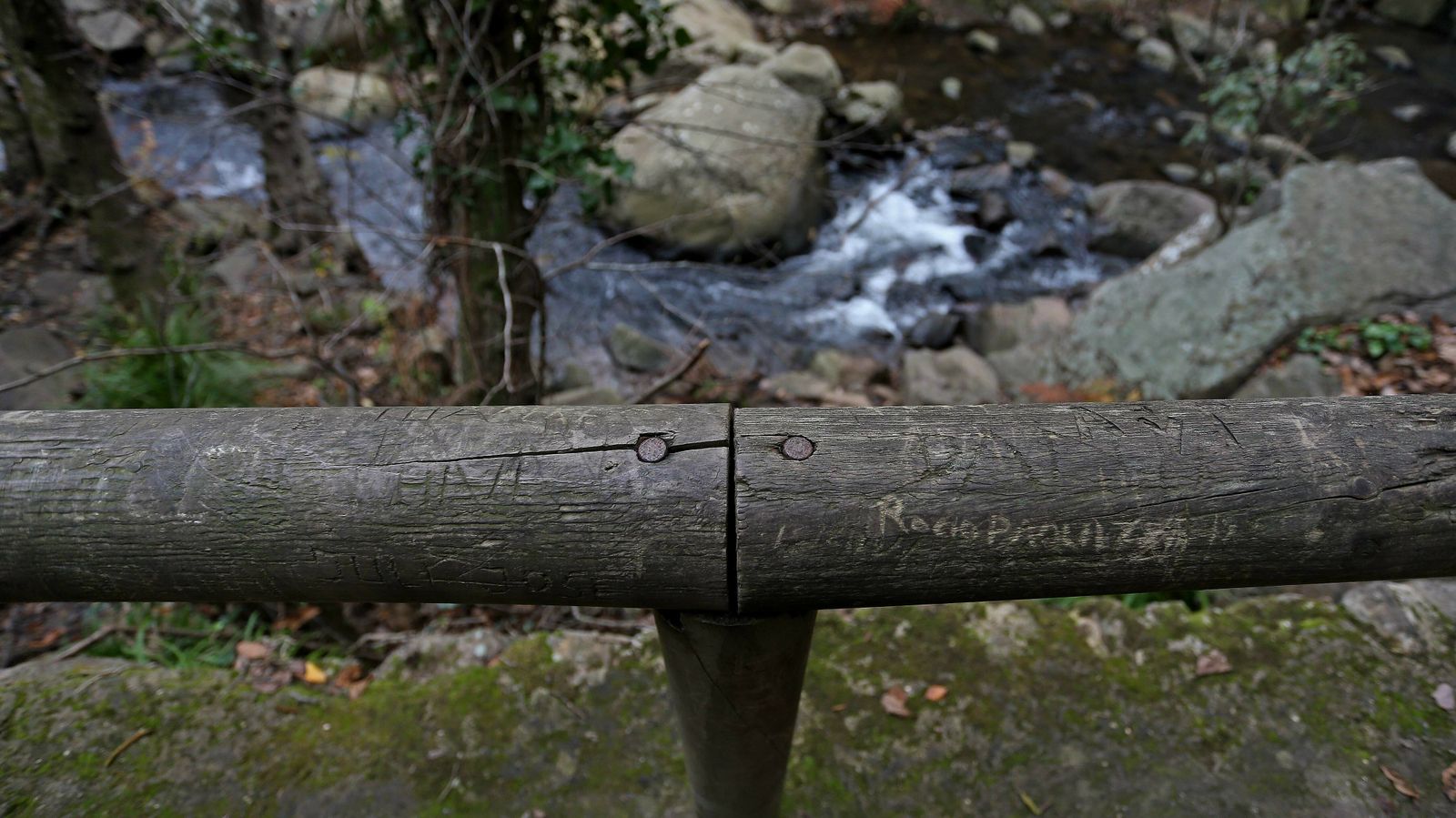 Las mejores fotos del sendero del Río de la Miel