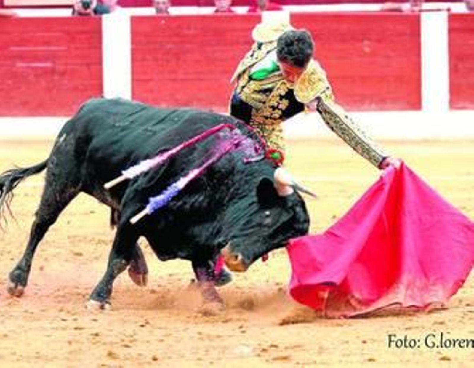 Francisco Gómez Fariñas 'Fran Gómez', torero de Cádiz, durante su actuación el pasado año en Calasparra.