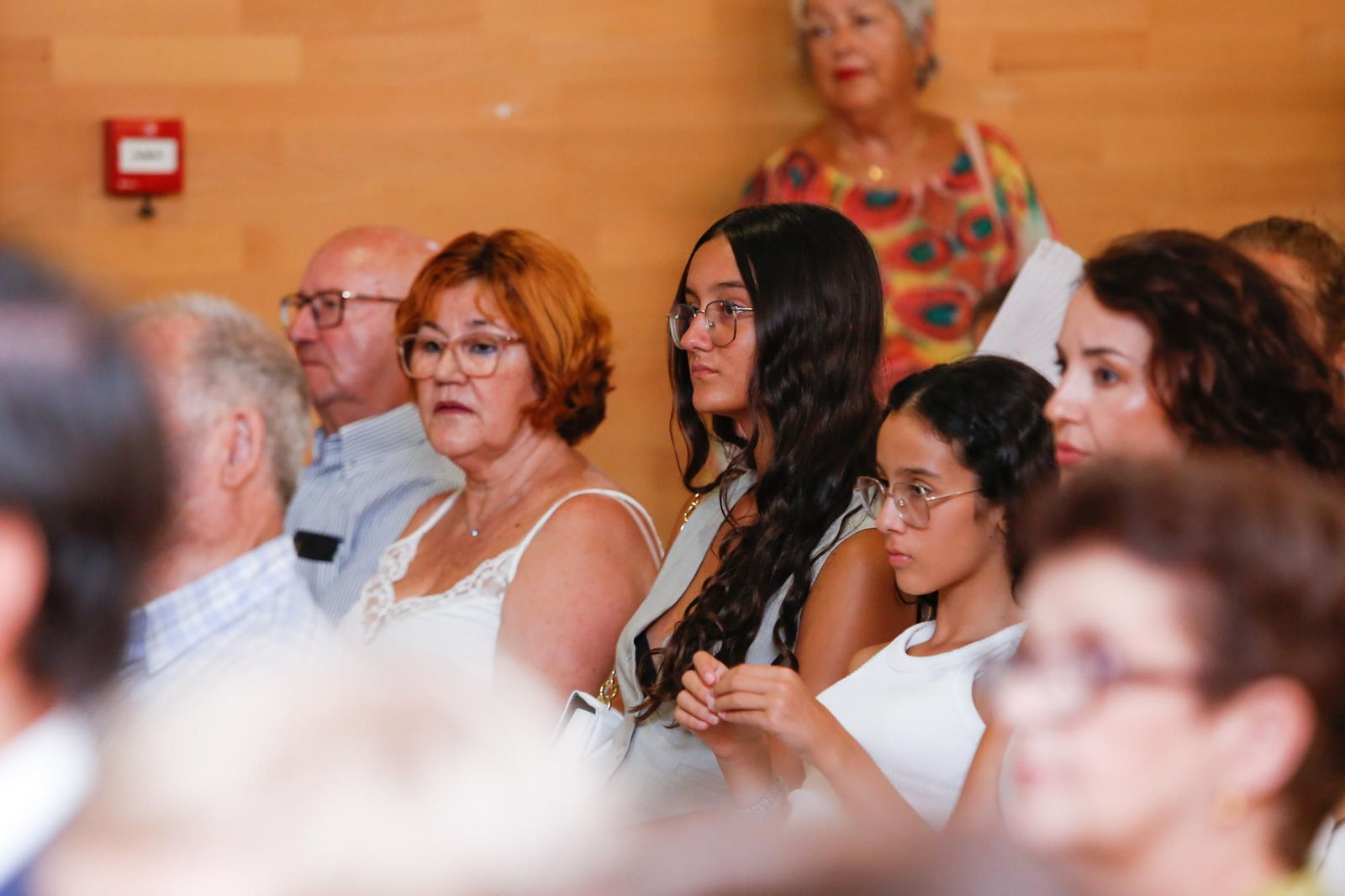 Entrega de las Medallas de la Palma en imágenes
