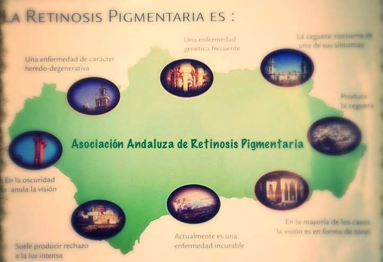 Sevilla acoge la asamblea andaluza de afectados por distrofias hereditarias de retina