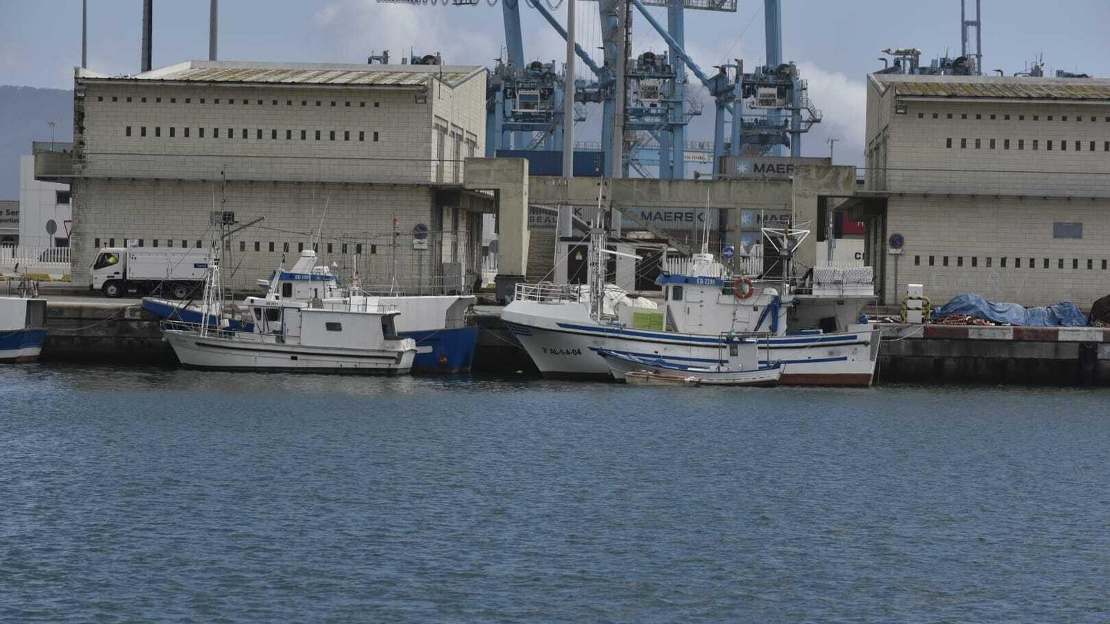 Barcos de pesca amarrados en el Puerto de Algeciras este lunes.