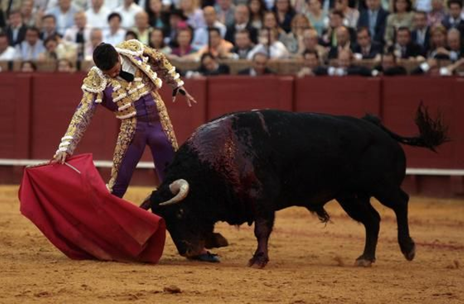 Manzanares con el quinto toro.

Foto: Juan Carlos Muñoz