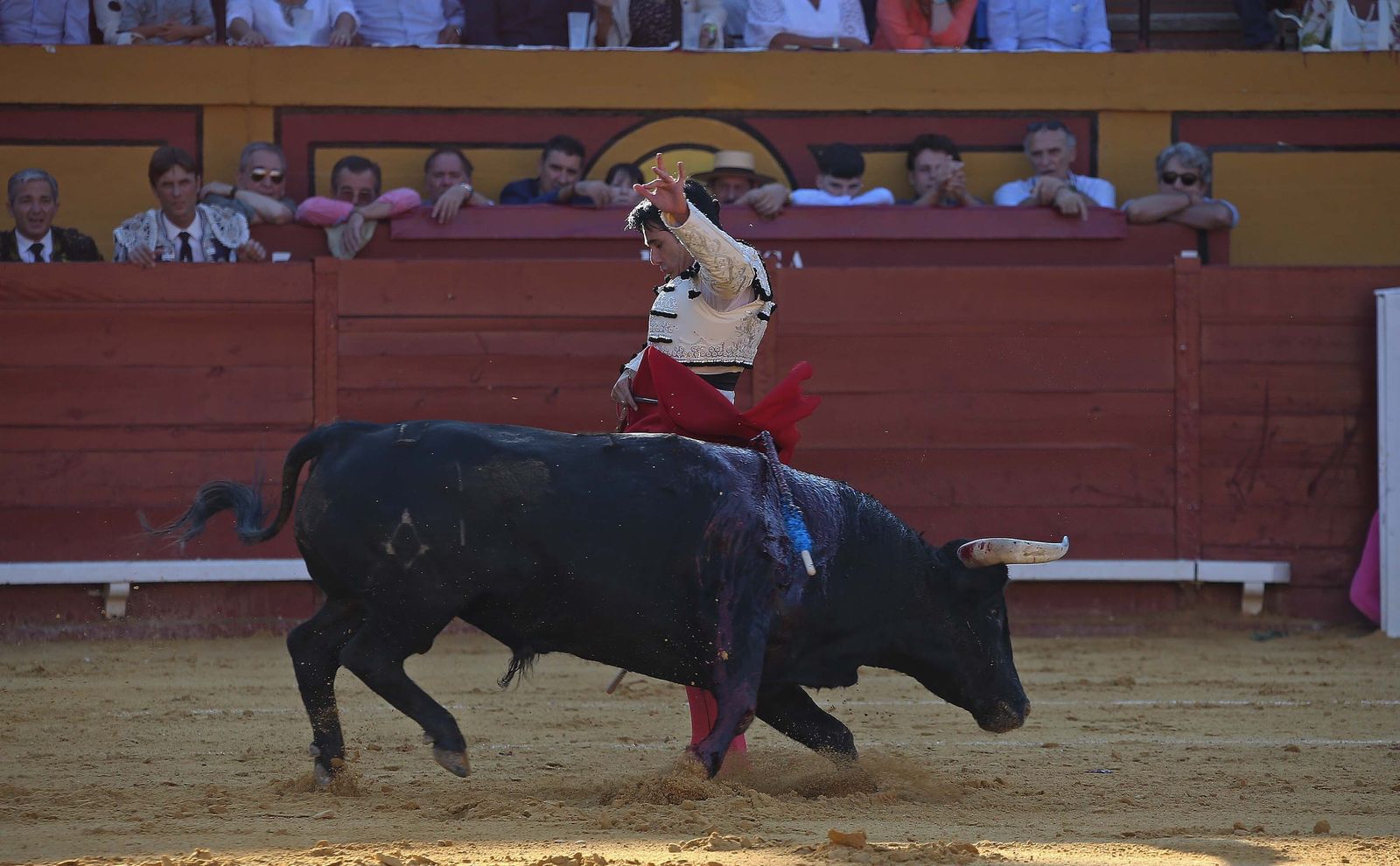 Fotos de la corrida del jueves de la Feria Taurina de Algeciras 2023:  Salvador Vega, Roca Rey y Pablo Aguado