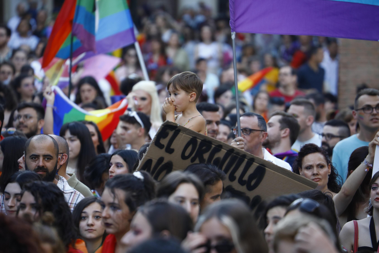 La marcha del Orgullo LGTBIQ+ de Córdoba, en imágenes
