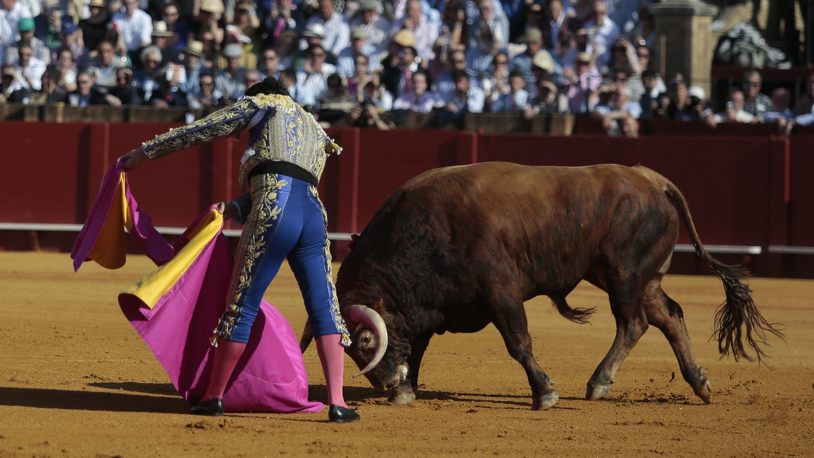las mejores imágenes de la feria taurina de Sevilla