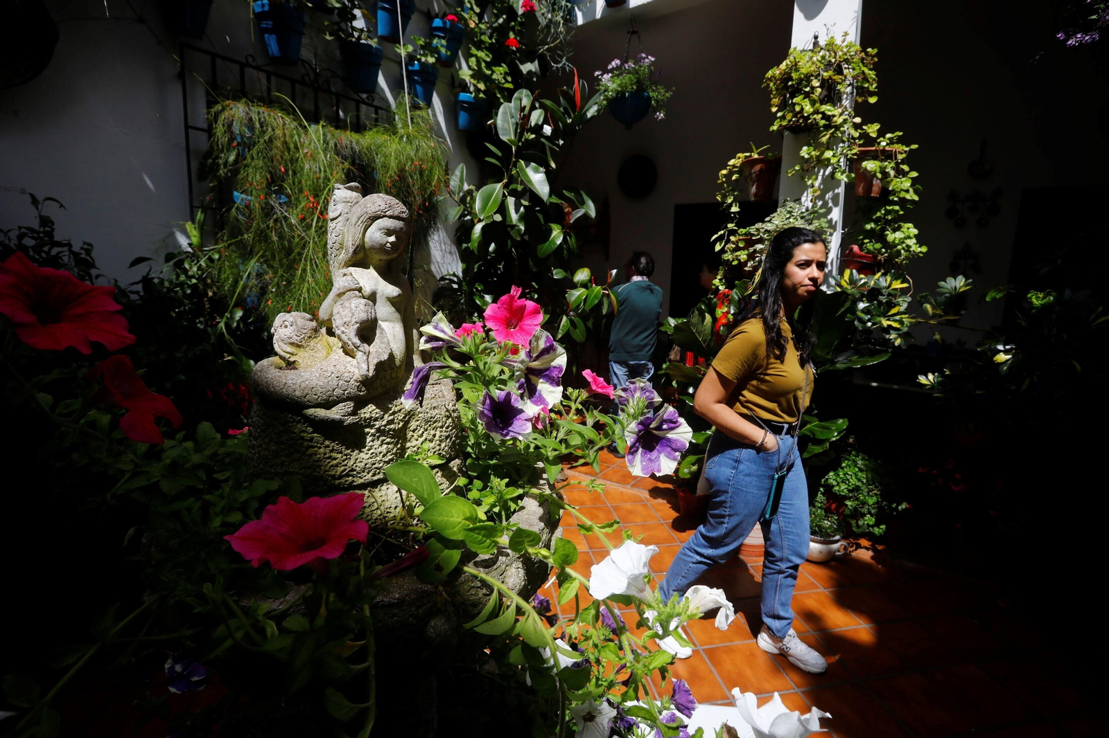 Los patios de Córdoba de la ruta Judería-San Francisco, en imágenes